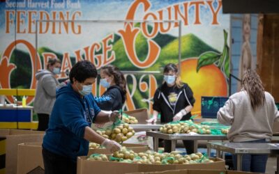 Making an Impact: Velasea Supports Second Harvest Food Bank OC